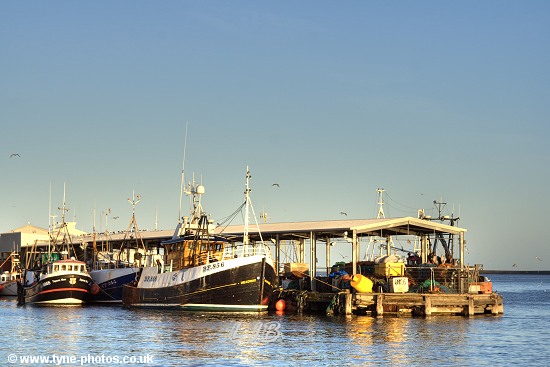 Fishing boats at North Shields Fish Quay.