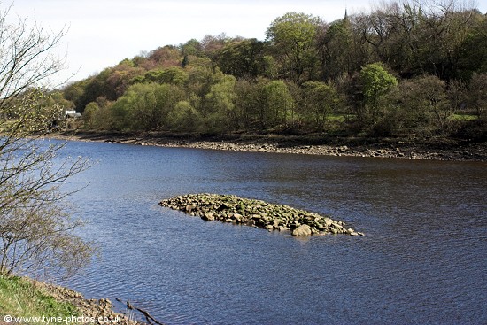 View across the River Tyne to Ryton.
