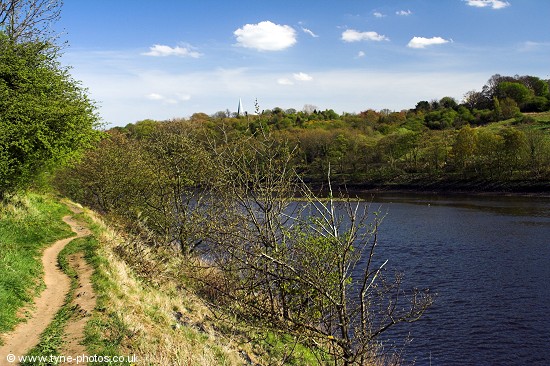 View across the River Tyne to Ryton.