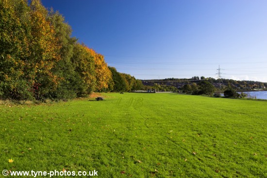 View looking back towards the Visitor Centre.
