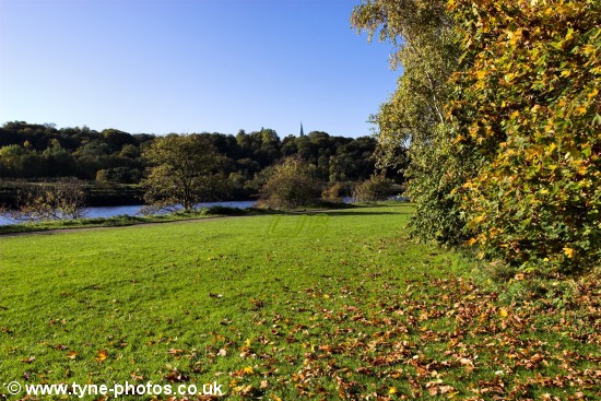 Golden Autumn colours.