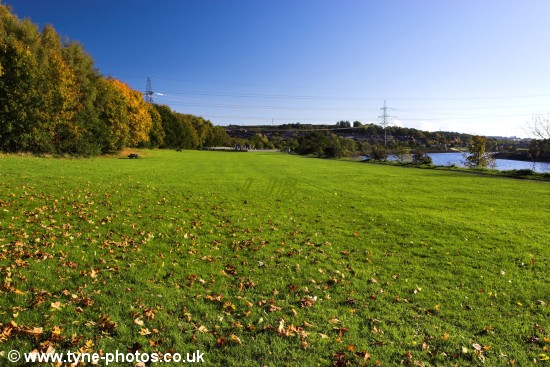 View looking back towards the Visitor Centre.