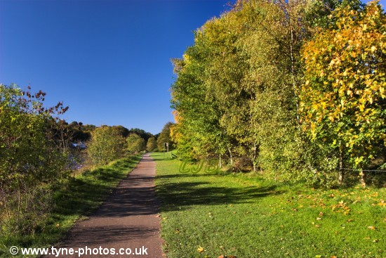 Footpath to Wylam.