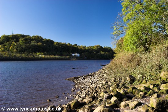 View across the River Tyne to Ryton.