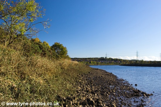View along the River Tyne towards Newburn.