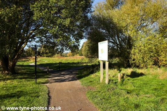 Footpath to Wylam.