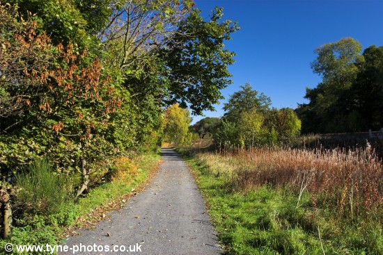 Footpath between Ryton Golf Course and Wylam Station.
