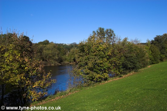 View across the River Tyne at Ryton Golf Course.