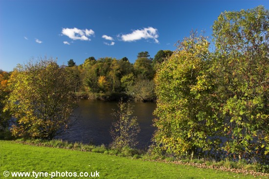 View across the River Tyne at Ryton Golf Course.