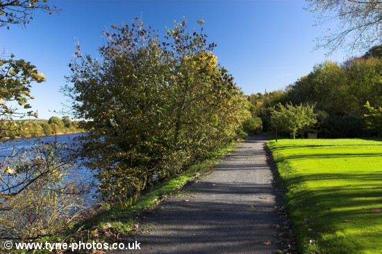 Footpath beside the River Tyne at Ryton Golf Course.