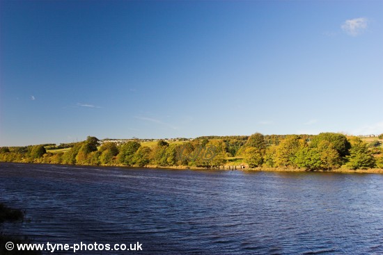 View across the River Tyne near Ryton.
