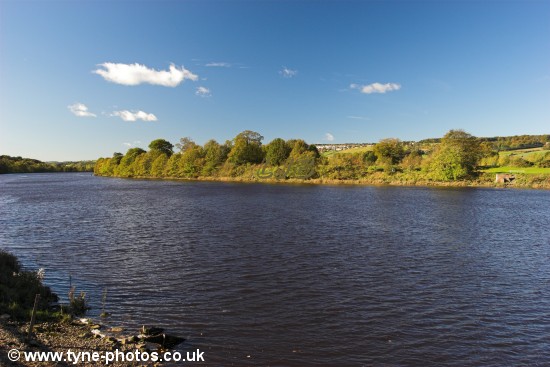 View across the River Tyne to the Country Park from the south side of the river.