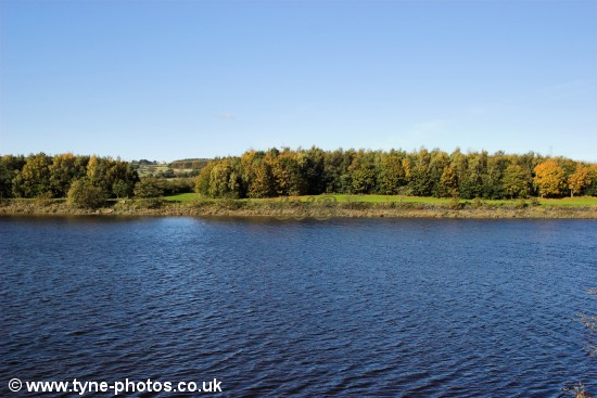 View across the River Tyne near Ryton.