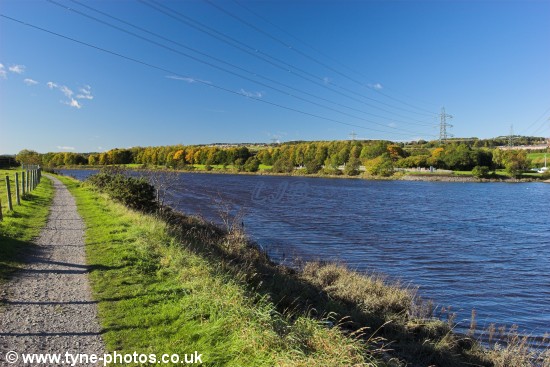 View along the River Tyne near Ryton.
