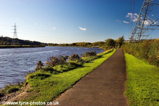 Footpath to the Country Park from Newburn Bridge.