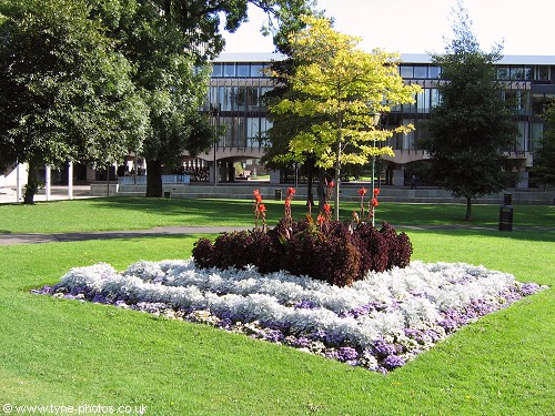 Flower beds in front of the Civic Centre.