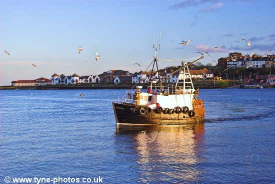 Fishing boat approaching North Shields Fish Quay.