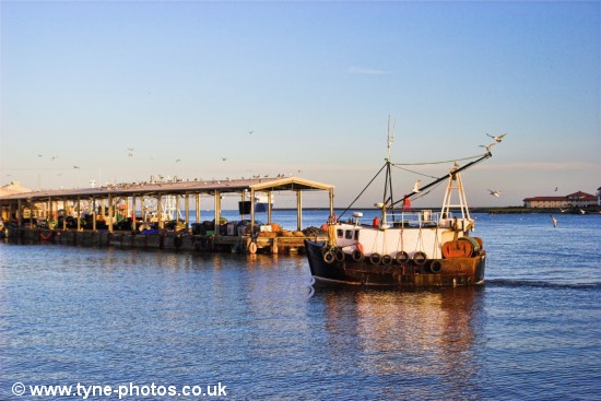Fishing boat approaching North Shields Fish Quay.