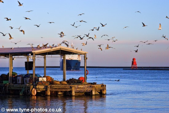 Car carrier City of Barcelona arriving in the River Tyne and passing North Shields Fish Quay.