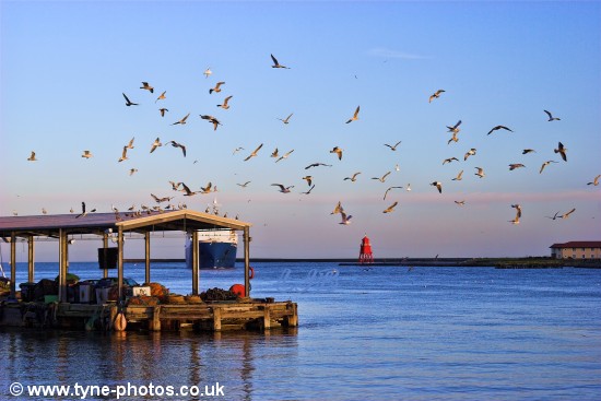 Car carrier City of Barcelona arriving in the River Tyne and passing North Shields Fish Quay.