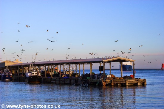 Car carrier City of Barcelona arriving in the River Tyne and passing North Shields Fish Quay.