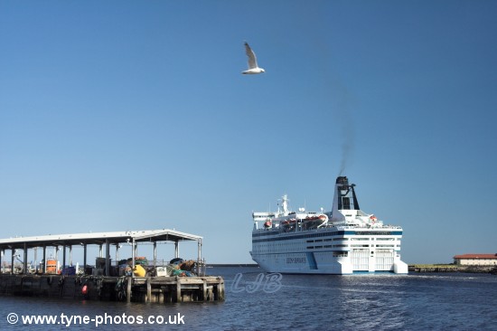Car and Passenger Ferry - Queen of Scandinavia passing North Shields Fish Quay.